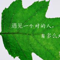 你是我不能带走的阳光