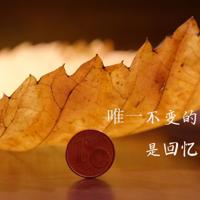 江南二十四桥里写意生命中的诗情