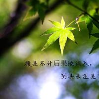 3根弦上跳舞的精灵