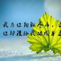 他的舌头弄得我爽水好多 红烛帐暖被翻红浪