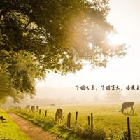 圣诞节唯美意境图片_浪漫的圣诞节