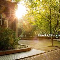 将爱情付给了你,婚姻留给了她