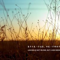 对不起，要离开