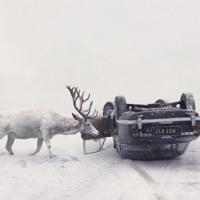 乖用下面把樱桃挤出来 男男肉肉互插腐文