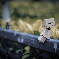 春花一笑 匆匆落