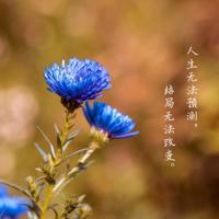 突然，我就想结婚了……