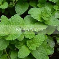 人生的两种方式