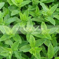 生活中的幽默笑话