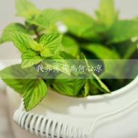 内心深处的诉说散文