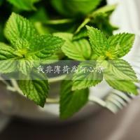 奇幻女生意境图集_奇异梦幻的女子