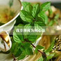 最爱的人原来就在身边