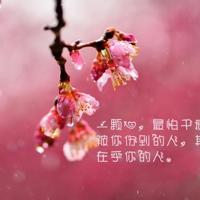 在某个初春的早上（组诗）