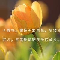 最好的答案，就是没有答案