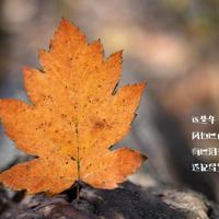 人生只有一次,每天都要全力以赴