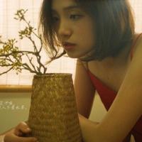 寻找,那已失落的世界