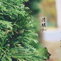 原来你一直在我身边