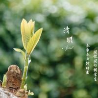 女生宿舍前的树林