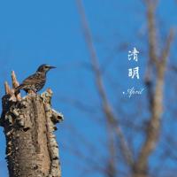 关于饶雪漫的最新经典语录欣赏