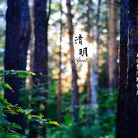 向来三分钟热度的我 爱你却用了七分