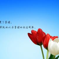 为什么会单身?单身的原因