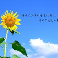 没有什么比母爱更珍贵