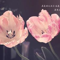 把我的祝福带给你