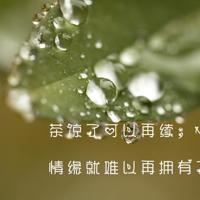 意境清新女生图片_悄悄和寂寞为伴