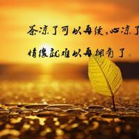 雨中漫步:又是一年春暖季