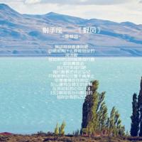 苏子熙:如果感动不了你.我就放过我自己。