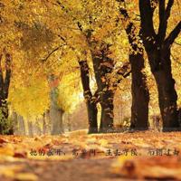 甄嬛传经典语录 甄嬛传经典台词