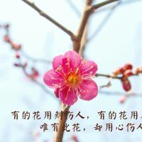 凶屋追凶