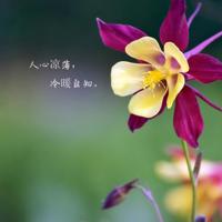 你不说解散，我怎么敢离开