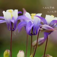 厄运——幸运的真正来源就在于此