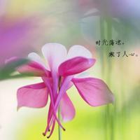 我们的少年时代截图