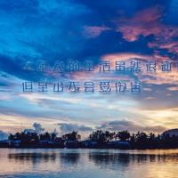 笑死人的动物冷幽默