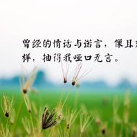 情侣老婆生活搞笑笑话