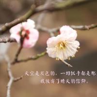 等你等了那么久