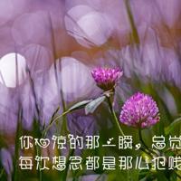 鬼话高考之探索作文遇鬼记