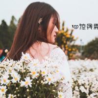 不怕没有保护的人就怕不够快乐