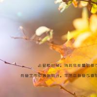 我对母亲的理解