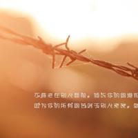 禅入心，沐一缕佛光