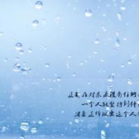 手握诗卷 独自清欢