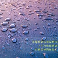 刻骨铭心的爱恋，忘却曾经最深的感动