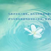 经典穿高跟鞋的爱情冷笑话