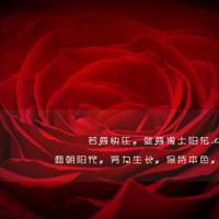 描写关爱生命的片段