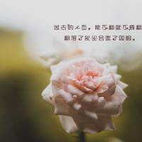 出门逛街遇到以前的女同学