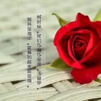 拿破仑的经典名言 拿破仑经典语录