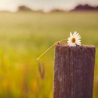 第二支箭和重新开始