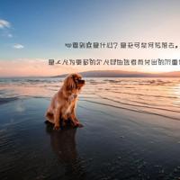 爱在深秋,秋意浓