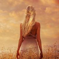 心中的一缕阳光